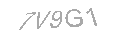 Güvenlik Kodu