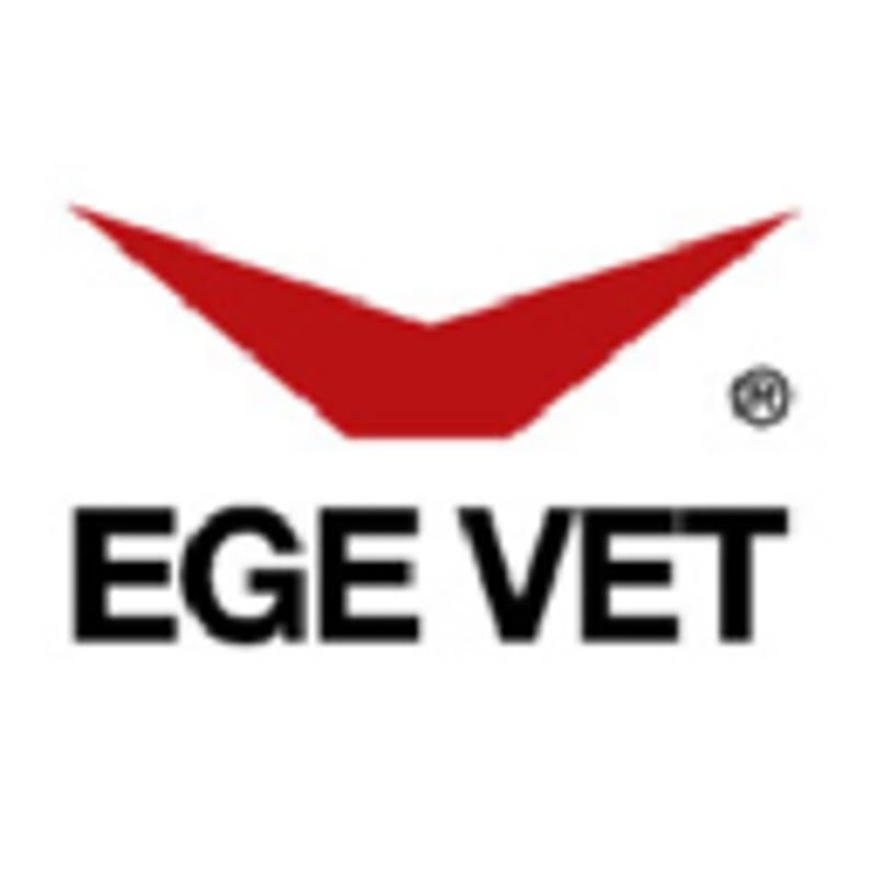 Ege logosu