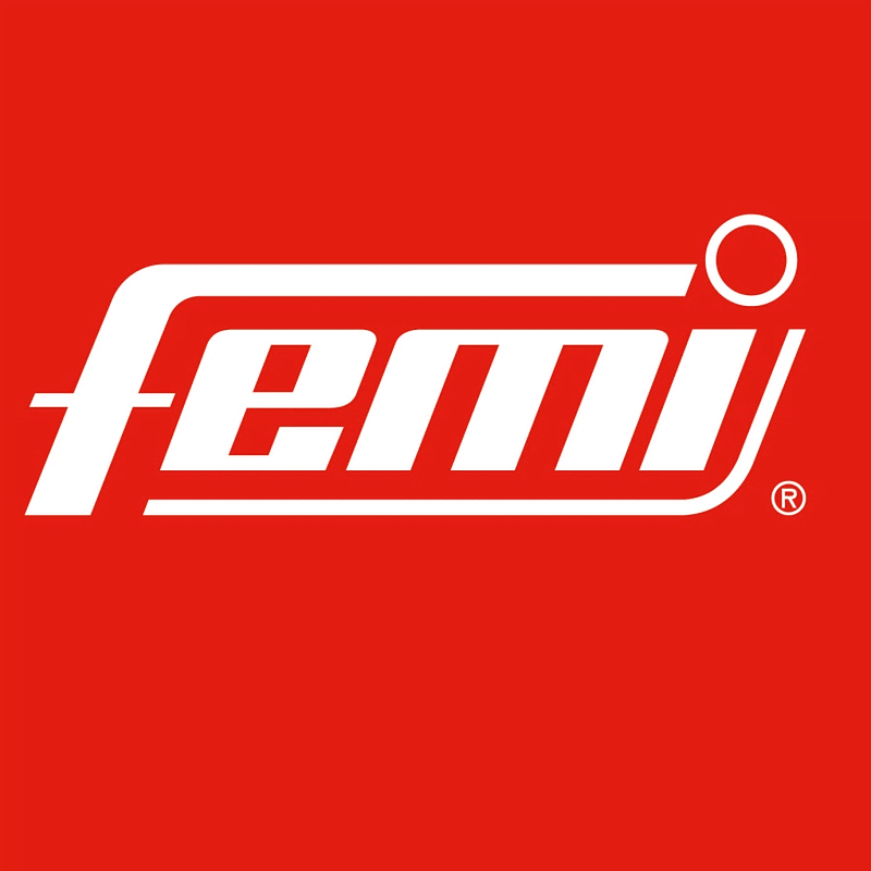 Femi logosu